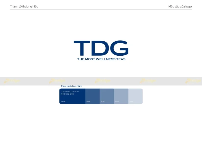 Thiết kế bộ nhận diện thương hiệu TDG phá cách tạo nét độc đáo