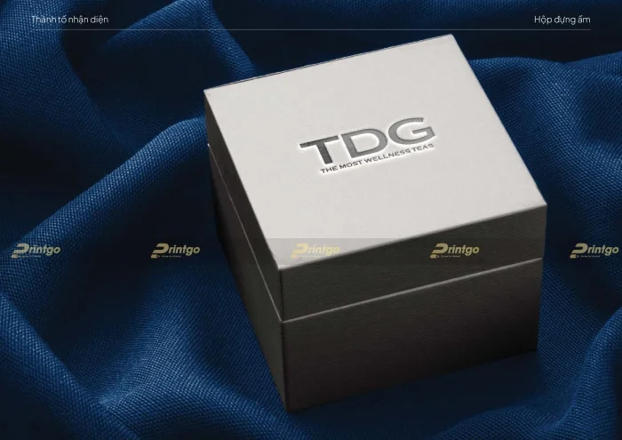 Thiết kế bộ nhận diện thương hiệu TDG phá cách tạo nét độc đáo