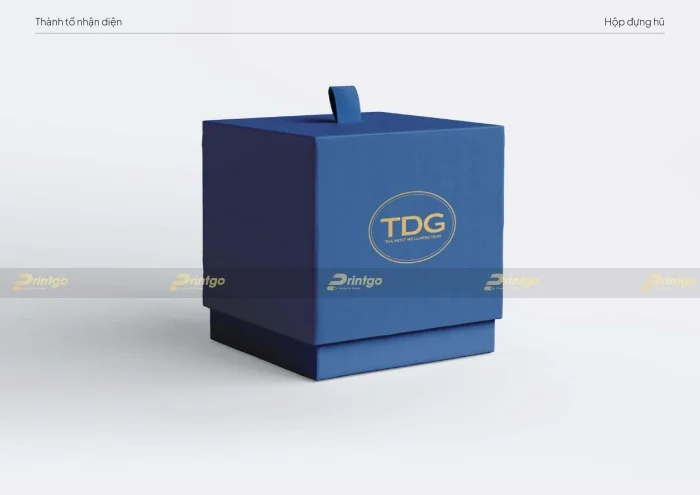 Thiết kế bộ nhận diện thương hiệu TDG phá cách tạo nét độc đáo