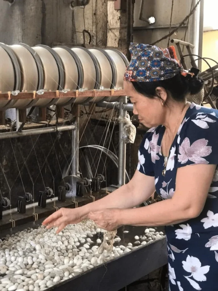Bà con địa phương tăng gia sản xuất tơ tằm