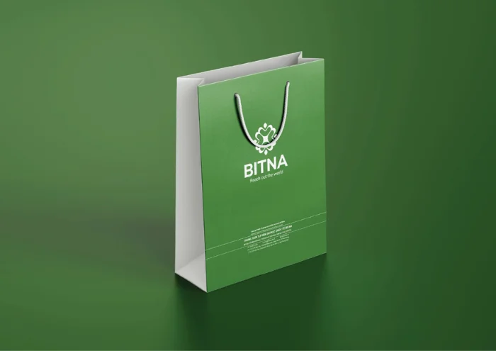 [Branding] Thiết kế logo thương hiệu BITNA hiện đại, cao cấp