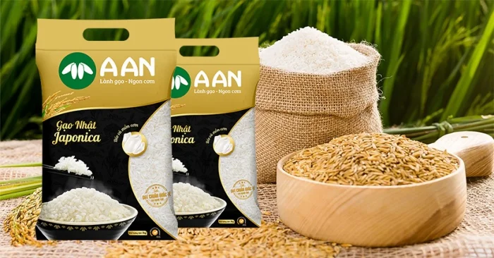 Vai trò của bao bì gạo xuất khẩu trên hành trình xuất khẩu quốc tế