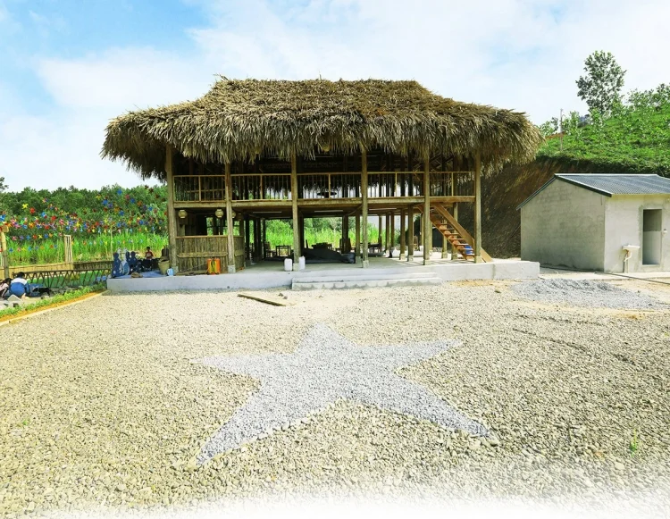 cow farm va printgo thiet ke va in an bao bi bo kho h mong dang ky du thi chung nhan ocop 13 1718598703