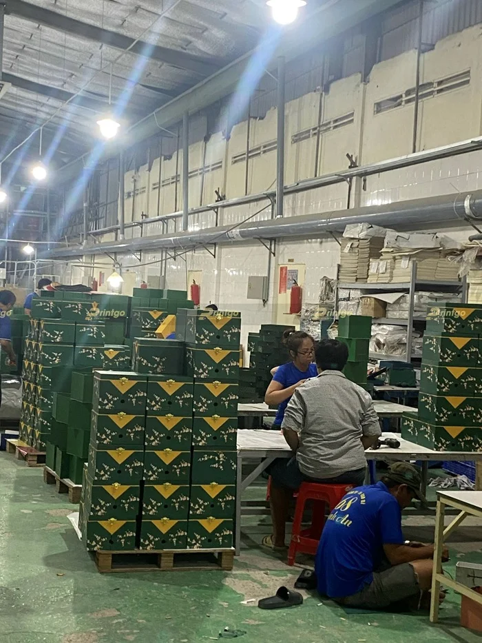 Quy trình sản xuất hộp