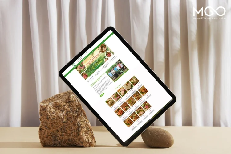 CTKM đặc biệt dành cho khách hàng Printgo khi thiết kế website và chụp ảnh sản phẩm tại MGO