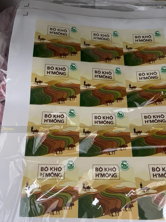 In bao bì tem nhãn OCOP - chìa khoá mở ra thị trường xuất khẩu cho sản phẩm địa phương
