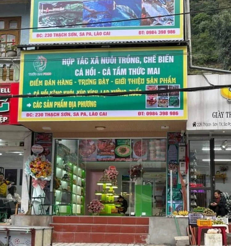 Printgo đồng hành cùng Thức Mai Food xây dựng bộ nhận diện thương hiệu và bao bì sản phẩm
