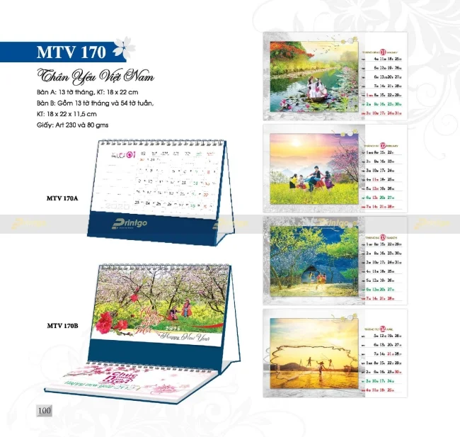 Bộ sưu tập Lịch tết Mỹ Thuật Việt 2025 thiết kế ấn tượng, giá tốt nhất thị trường