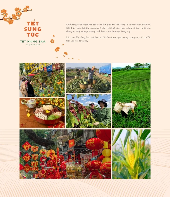 Review bộ ấn phẩm “Tết Sung Túc” món quà tết tạo dấu ấn riêng cho doanh nghiệp