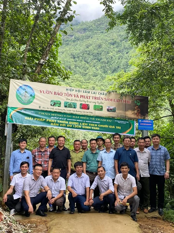 Bí quyết giúp HTX Bảo tồn và Phát triển giống Sâm núi Lai Châu "ẵm" giải nhất hành trình OCOP