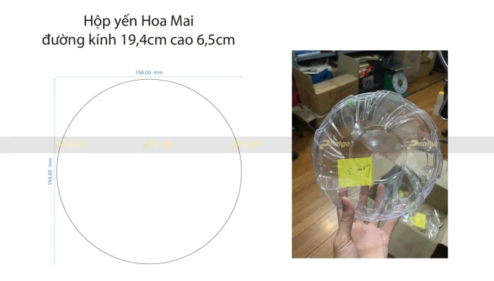 Khuôn yến Hoa Mai đường kính 19.4cm - cao 6.5cm