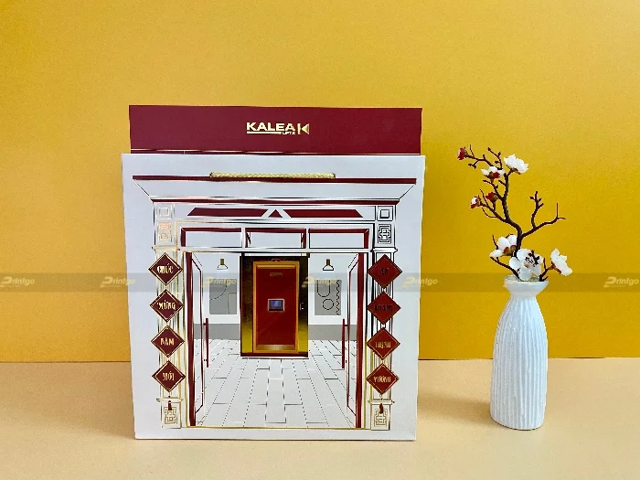 Dự án thiết kế và in hộp quà tết Cibes