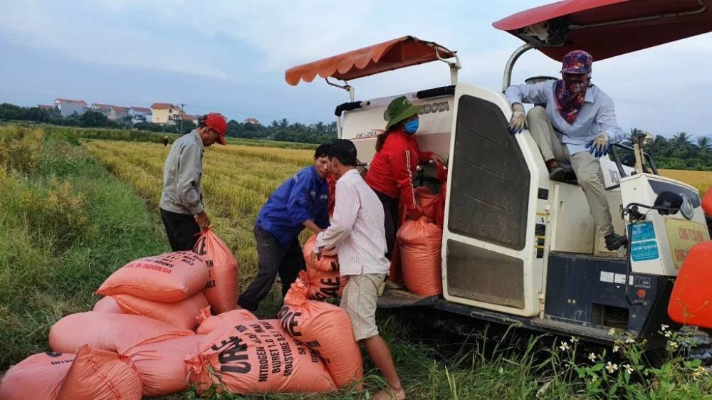 Dự án thiết kế và in ấn hộp đựng gạo rươi Đông Triều
