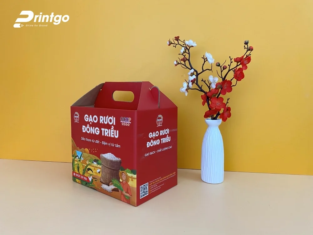 Dự án thiết kế và in ấn hộp đựng gạo rươi Đông Triều