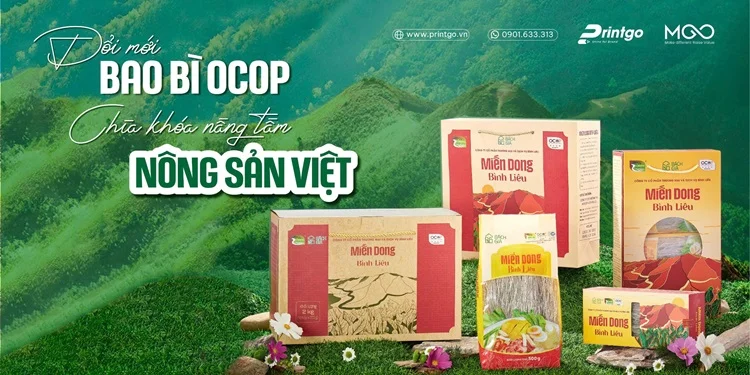 Chương trình khuyến mãi dành riêng cho khách hàng thiết kế ấn phẩm HOT nhất tại Printgo