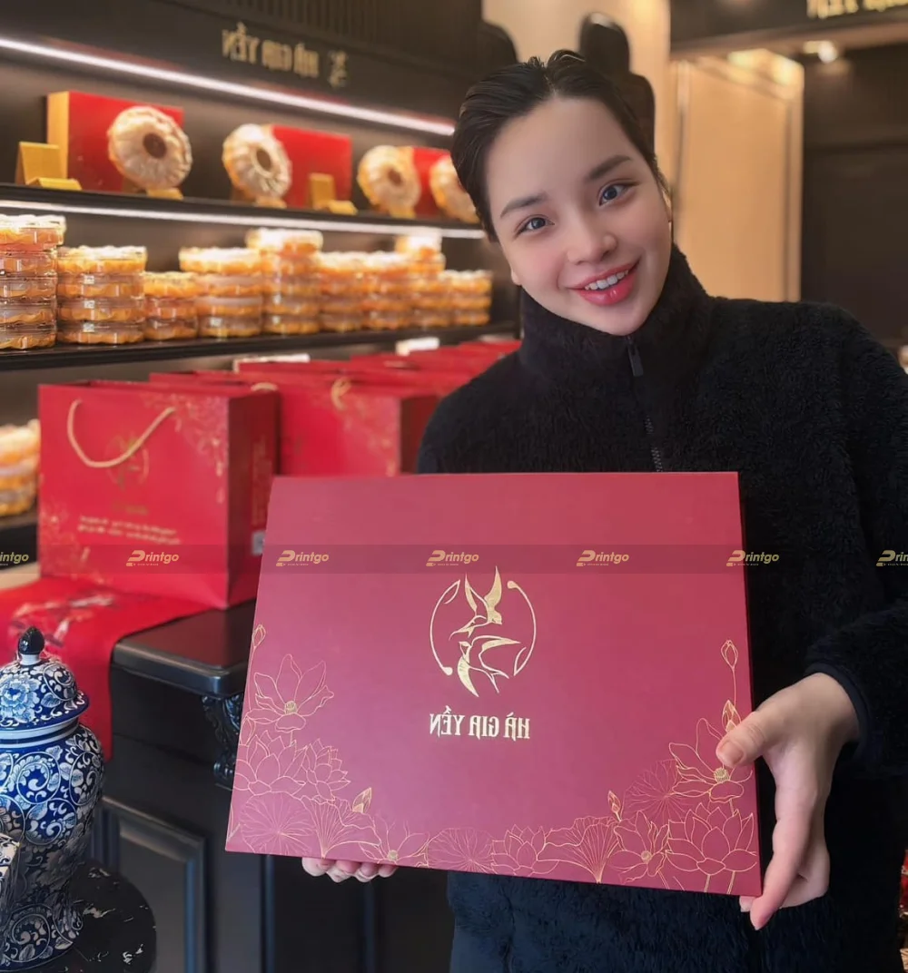 Dự án thiết kế và in ấn hộp đựng yến sào Hà Gia Yến | Printgo