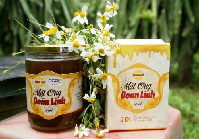 Thiết kế tem nhãn OCOP chuyên nghiệp - Khẳng định giá trị nông sản Việt 