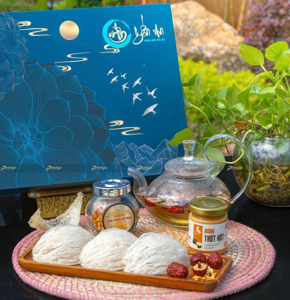 Dự án thiết kế và in hộp đựng yến sào Yến An