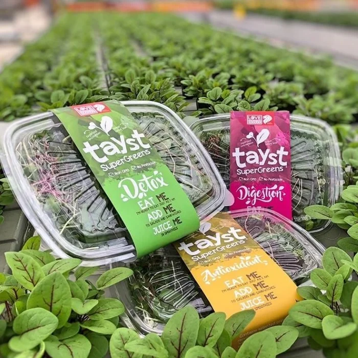 Plastic box — Vì sao trở thành bao bì dẫn đầu thị trường?
