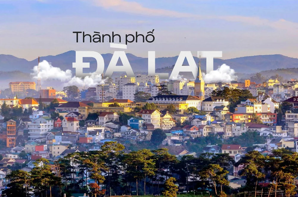 Dự án thiết kế logo F&B - Đà Lạt Grill