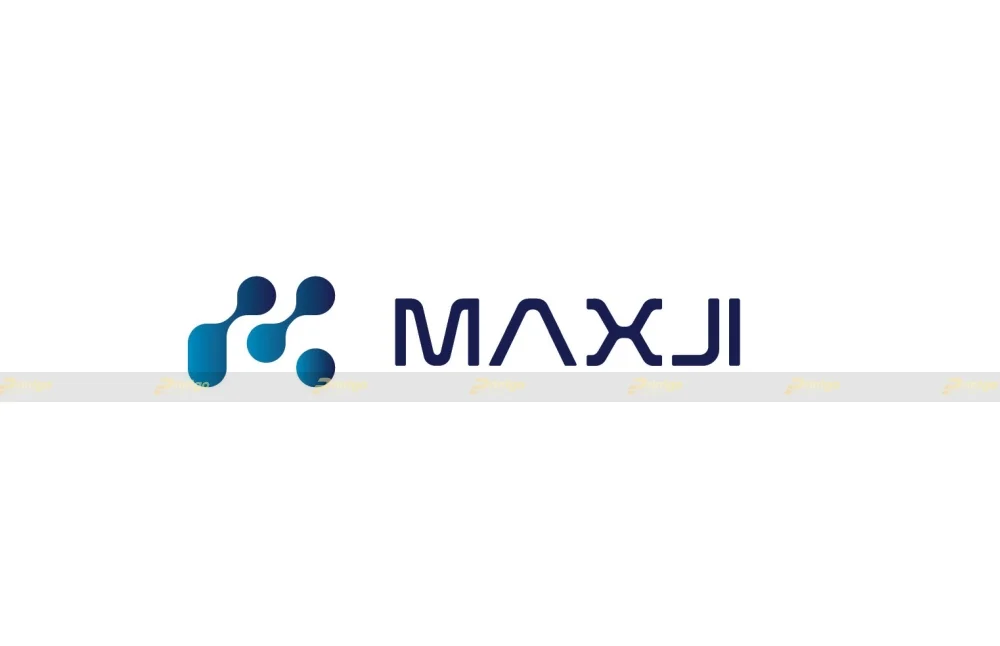 Dự án thiết kế logo thương hiệu Maxji