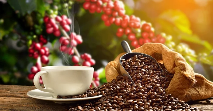 Báo cáo mới nhất về thị trường cafe Việt Nam