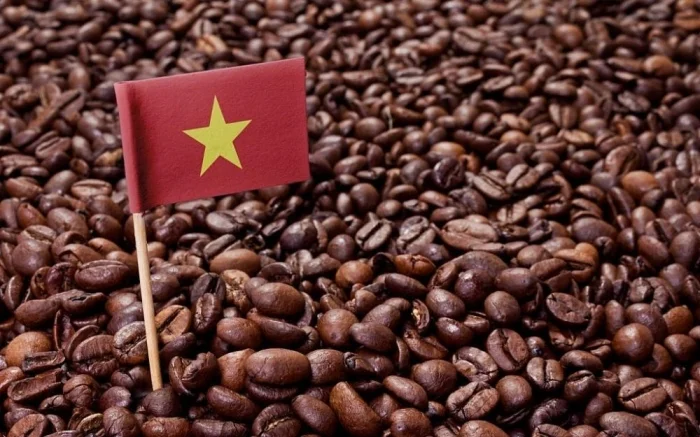 Báo cáo mới nhất về thị trường cafe Việt Nam 