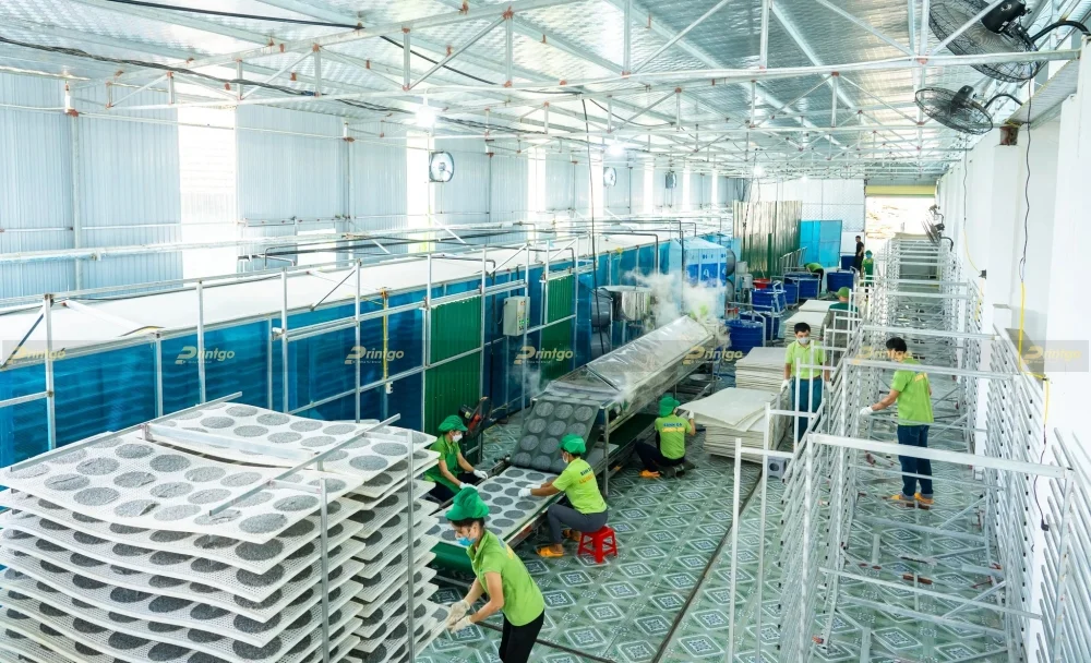 Quy mô nhà xưởng công ty Lương Sơn