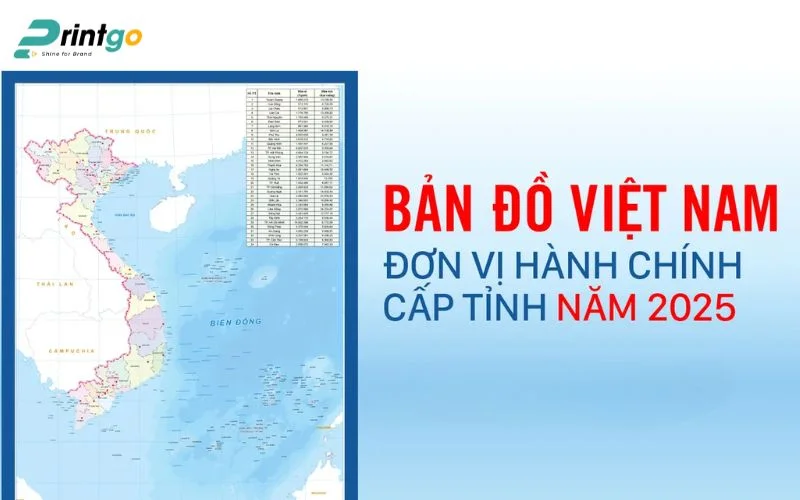 Tải File Vector Miễn Phí Bản Đồ Việt Nam Mới Nhất 2025 [Bản PDF]