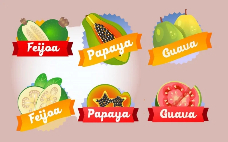 Nhóm tem hoa quả nhập khẩu dòng cao cấp