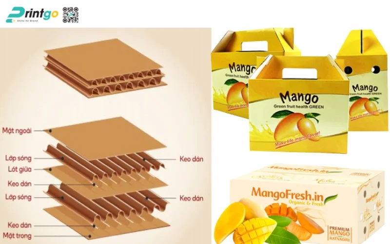Chất liệu giấy in thùng carton đựng xoài Chất liệu giấy in thùng carton đựng xoài