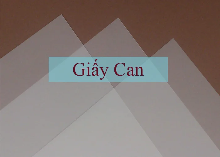 Giấy can là giấy gì? Đặc điểm, Định lượng và ứng dụng
