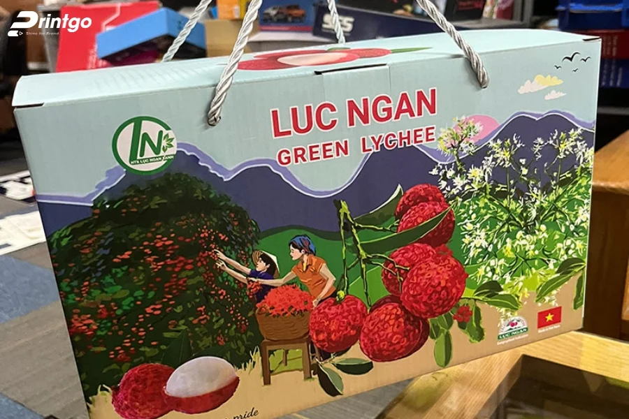 Hộp vải thiều dạng quai xách