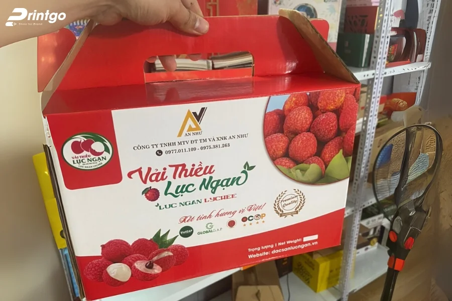 Hộp vải thiều dạng quai xách