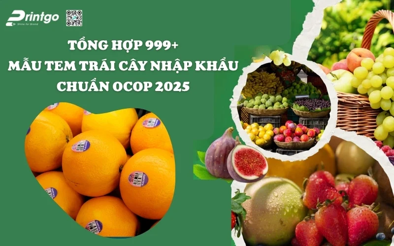 Kho Tàng 999+ Mẫu Tem Trái Cây Nhập Khẩu Xu Hướng 2025
