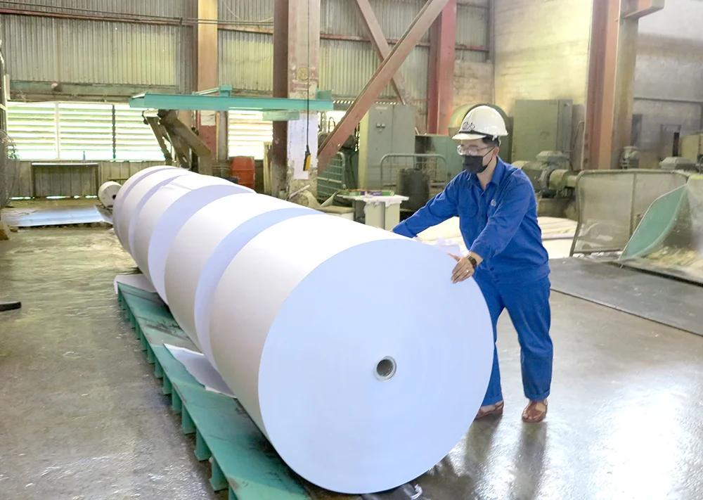 Lô xả giấy bãi bằng tại nhà máy