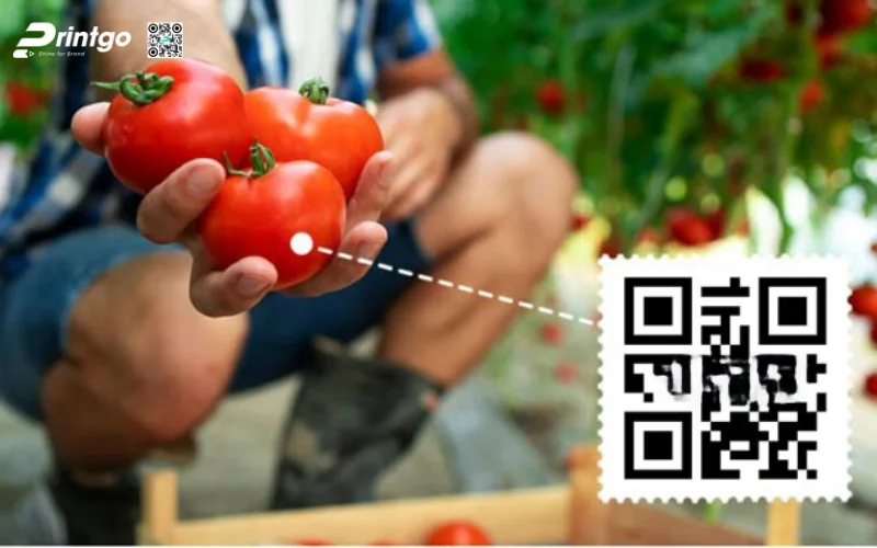 Lợi ích của việc sử dụng tem truy xuất nguồn gốc nông sản