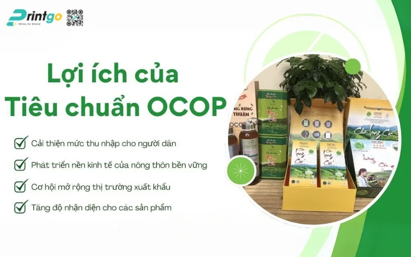 Lợi ích của việc in bao bì nông sản chuyên nghiệp đối với doanh nghiệp OCOP