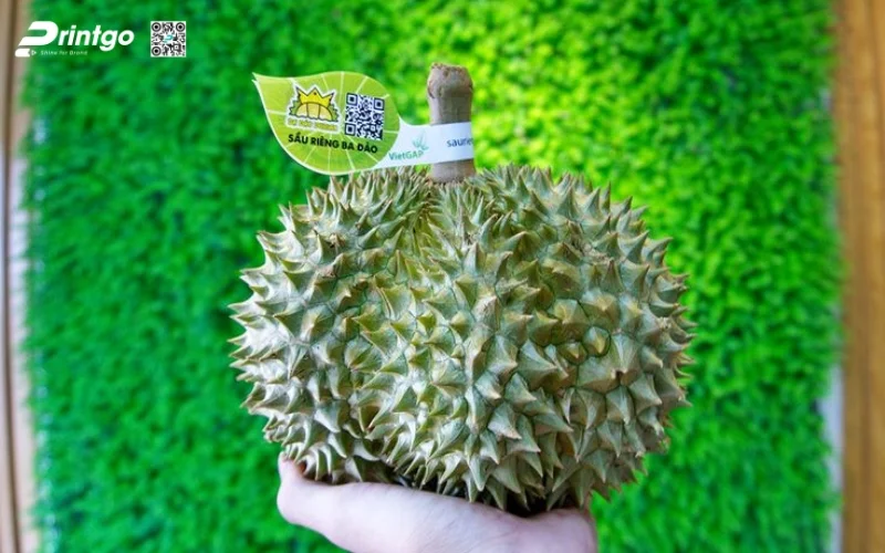 Lưu ý khi in tem sầu riêng xuất khẩu