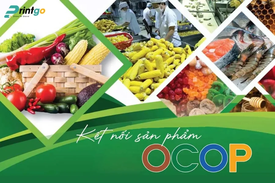 Lưu ý khi thiết kế logo nông sản cho thị trường quốc tế