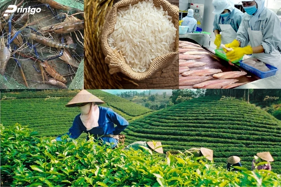 Gợi ý cách cá nhân hóa logo theo từng vùng miền