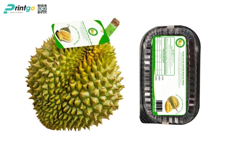 Mẫu tem nhãn phụ trái cây nhập khẩu OCOP