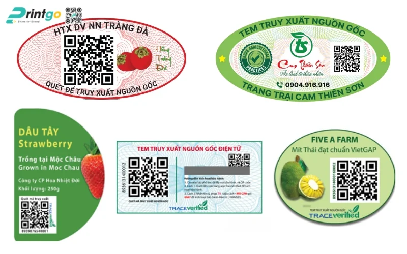 In tem truy xuất nguồn gốc nông sản trái cây sạch 
