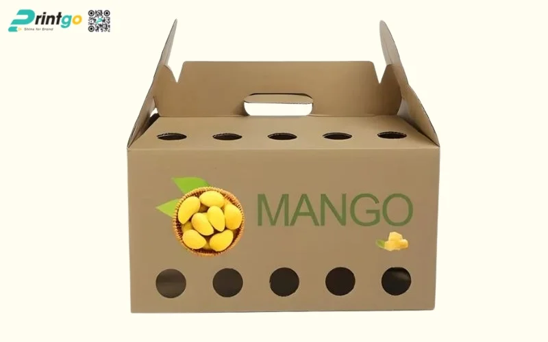 Thùng carton đựng xoài dạng quai xách Thùng carton đựng xoài dạng quai xách