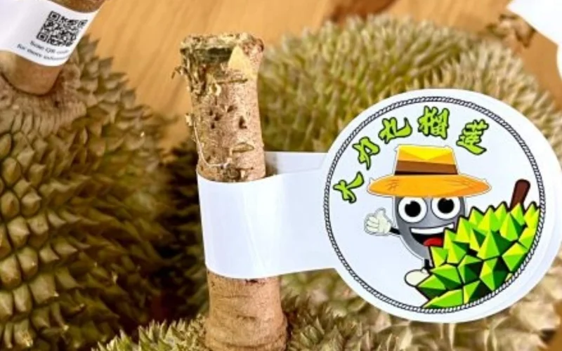 Tem dán cuống sầu riêng hoặc bao lưới 