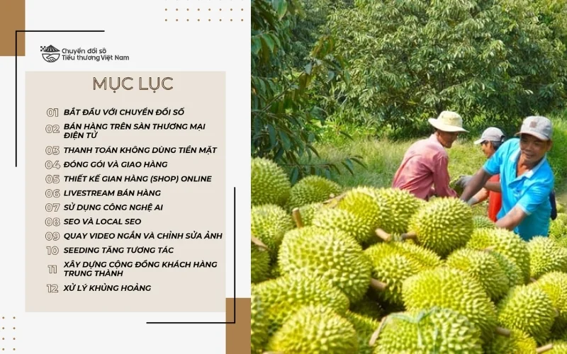  Tổng quan về sổ tay chuyển đổi số cho tiểu thương truyền thống 