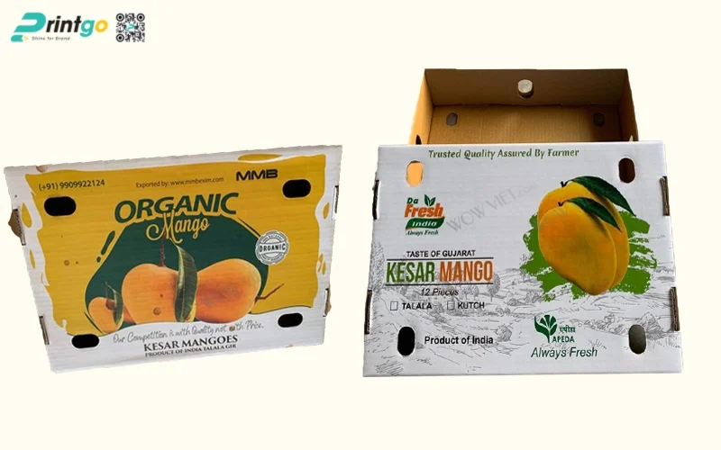 Thùng carton đựng xoài dạng quai xách Thùng carton đựng xoài dạng quai xách