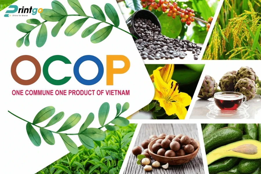 Tiêu chí đánh giá logo nông sản sạch đạt chuẩn OCOP