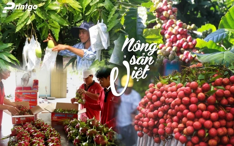 Quy trình thiết kế bao bì nông sản chuyên nghiệp