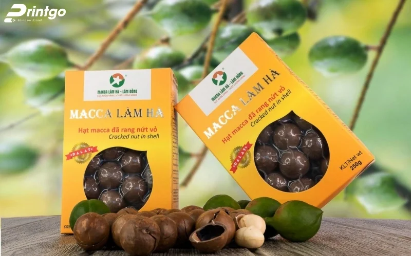 Mẫu bao bì macca